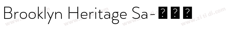 Brooklyn Heritage Sa字体转换